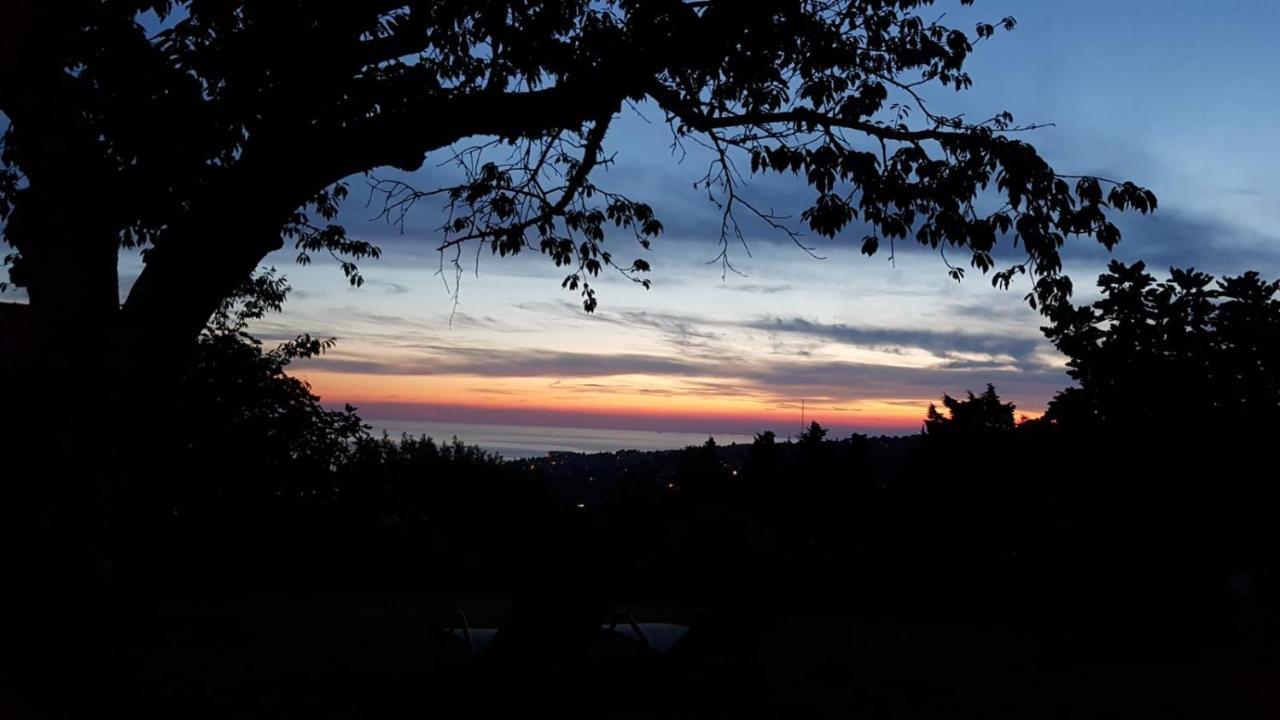 Peaceful Cherry Place Portoroz Bagian luar foto